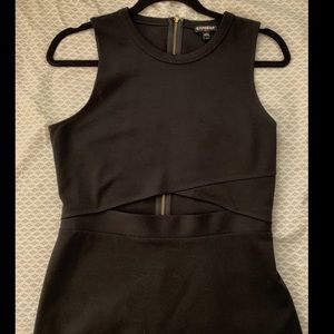 Express bodycon dress